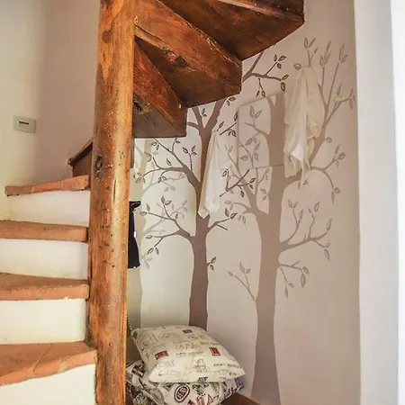 Il Nido Nel Borgo * Camaiore